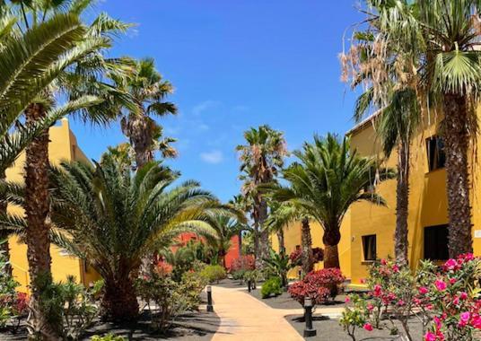Casa Cayenne - Stylish Apartment With Ocean/Dune View Corralejo Exterior foto